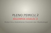 PLENO PEMICU 2