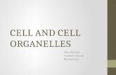 Cell and cell organelles