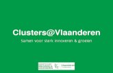 Clusters@Vlaanderen - Agentschap Innoveren en Ondernemen Vlaanderen_ Voor wie: Bedrijven en andere actoren
