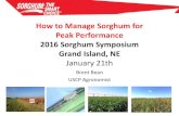 How to Manage Sorghum for Peak Performance 2016 Sorghum ... · PDF file 2016 Sorghum Symposium Grand Island, NE ... Why Sorghum AMS Approved. Sorghum Corn Population Cost* Population