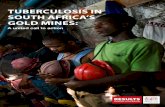 TUBERCULOSIS IN SOUTH AFRICA¢â‚¬â„¢S GOLD MINES in South Africa's Mines - A... than the general population