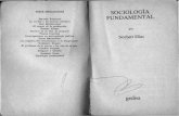 Sociologia Fundamental -- Elias Norbert