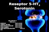 Reseptor 5 HT3 Serotonin