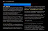 BlackRock Overview