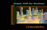Dubai UAE for Business