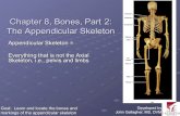 Chapter 8, Bones, Part 2: The Appendicular Chapter 8, Bones, Part 2: The Appendicular Skeleton Appendicular Skeleton = Everything that is not the Axial Skeleton, i.e., pelvis and limbs