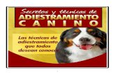 116260432 Copia de Secretos y Tecnicas de Adiestramiento Canino