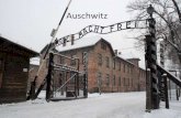 Auschwitz historia