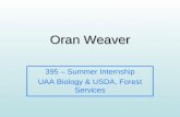 Oran Weaver