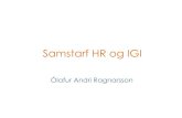 Samstarf HR og IGI