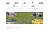 Analyse diagnostique et prospective de la fili¨re riz dans la vall©e