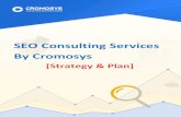 SEO CONSULTING SERVICES | AFFORDABLE SEO PACKAGES | CROMOSYS