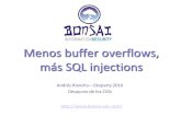 Menos Buffer Overflows, ms SQL Injections
