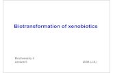 Biotransformation of xenobiotics - Masaryk University ... Biotransformation of xenobiotics is located