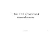 Lufukuja G.1 The cell (plasma) membrane. The cell membrane The cell membrane (also known as the plasma membrane or cytoplasmic membrane) is a biological