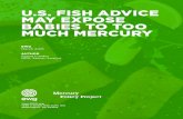 U.S. FISH ADVICE MAY EXPOSE BABIES TO TOO MUCH MERCURY pregnant to eat much more seafood, an excellent