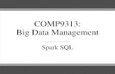 COMP9313: Big Data cs9313/20T2/slides/L6.pdf Spark easier to program. ¢â‚¬¢For both sets of users, DataFrames
