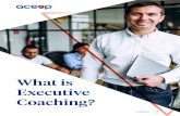 What is Executive Coaching Executive Coaching 101 What is Executive Coaching? Executive Coaching is