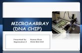 Microarray (DNA and SNP microarray)