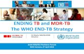 ENDING TB and MDR-TB The WHO END-TB . RAVIGLIONE_WHO En  ENDING TB and MDR-TB The WHO END-TB Strategy