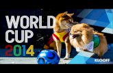 World Cup 2014 | Dog Soccer Fans