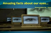 Amazing Facts About Our Eyes