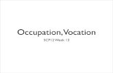 Occupation, Vocation?
