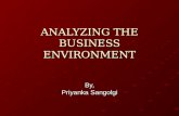 Marketing Environment & Competitor Analysis