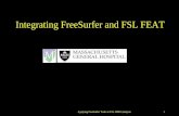 Integrating FreeSurfer and FSL FEAT