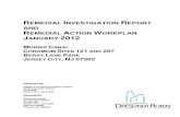 EMEDIAL NVESTIGATION EPORT AND REMEDIAL ACTION WORKPLAN remedial investigation report and remedial action