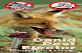 Canid Pest Ejector