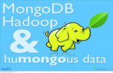 MongoDB Hadoop and Humongous Data