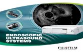 ENDOSCOPIC ULTRASOUND SYSTEMS PinP Endoscopic / Ultrasound Imaging Observation screen Hospital / Date