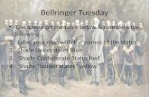 Bellringer  Tuesday