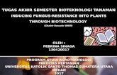 Plant Biotechnology- Inducing Fungus-Resistance into Plants Through Biotechnology