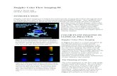 Doppler Color Flow Imaging #4 - Cardioland