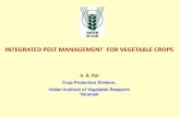INTEGRATED PEST MANAGEMENT FOR VEGETABLE CROPS