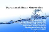 Paranasal Sinus Mucoceles - UTMB Health - Welcome to 3 Introduction What is a mucocele? Mucoceles are epithelium-lined, mucus-containing sacs that completely fill a paranasal sinus