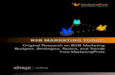 B2B Marketing Today: Original Research on B2B Marketing Budgets, Strategies, Tactics, and Trends from MarketingProfs