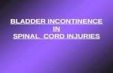 Bladder Incontinence in Spinal Cord Injuries