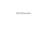 Oat Diseases