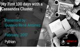 My First 100 days with a Cassandra Cluster