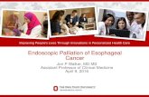 Endoscopic Palliation of Esophageal Cancer