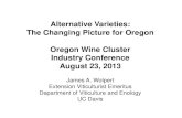 Alternative Varieties: The Changing Picture for Oregon Oregon Wine