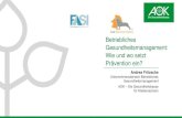 Betriebliches Gesundheitsmanagement: Wie und wo setzt ... · PDF file Betriebliches Gesundheitsmanagement • Nachhaltige Organisationsentwicklung & Prozessgestaltung • Analysegestützte