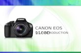 Canon 1100D-self-introduction