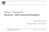 FreeSurfer Reader-3766