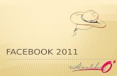 Basic Facebook Business Overview 2011
