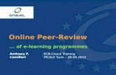 Online Peer Review of e-Learning Programmes