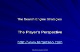 Search Engine Optimization Strategies